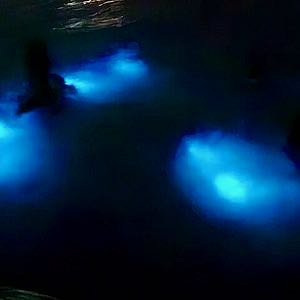 Discover The Top 5 Ultimate Things To Do In Jamaica, mystic luminous lagoon