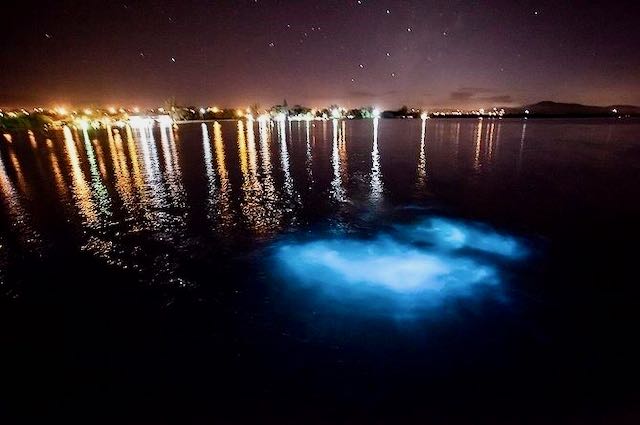 Discover The Top 5 Ultimate Things To Do In Jamaica, mystic luminous lagoon