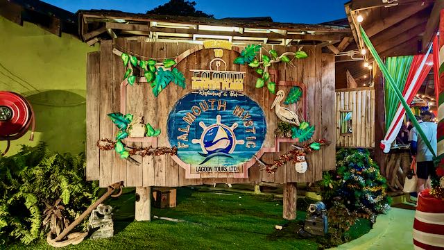 Discover The Top 5 Ultimate Things To Do In Jamaica, mystic luminous lagoon