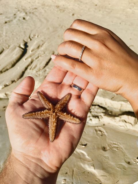 Discover The Top 5 Ultimate Things To Do In Jamaica