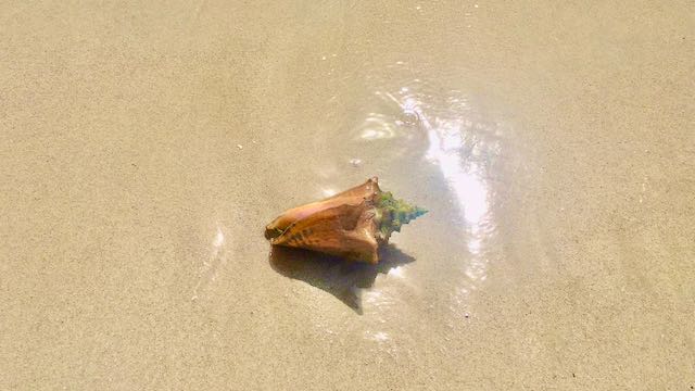 All-Inclusive Resorts Jamaica and Stunning Beaches